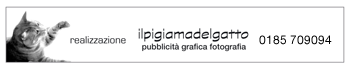 ilpigiamadelgatto